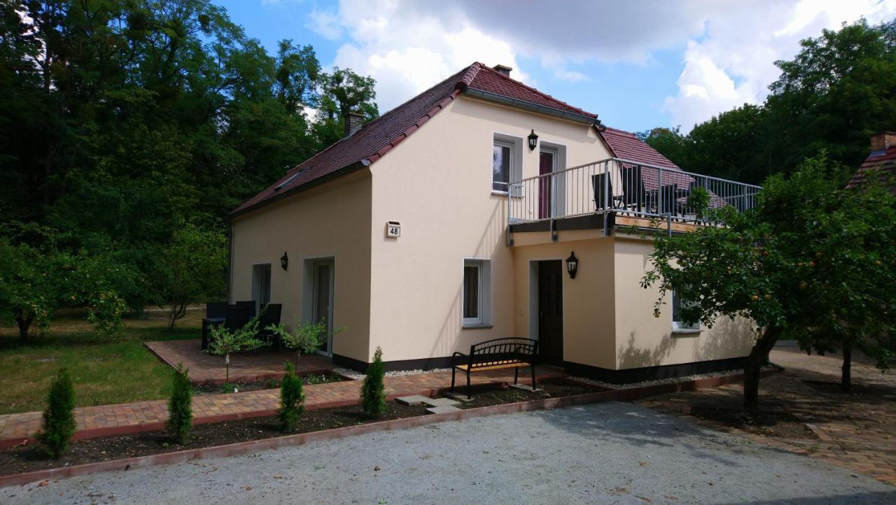 Haus Waldidyll Apartman Lauta Kültér fotó